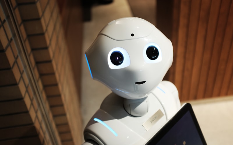 Set and Forget WiFi Marketing: The Complete Automation Guide
