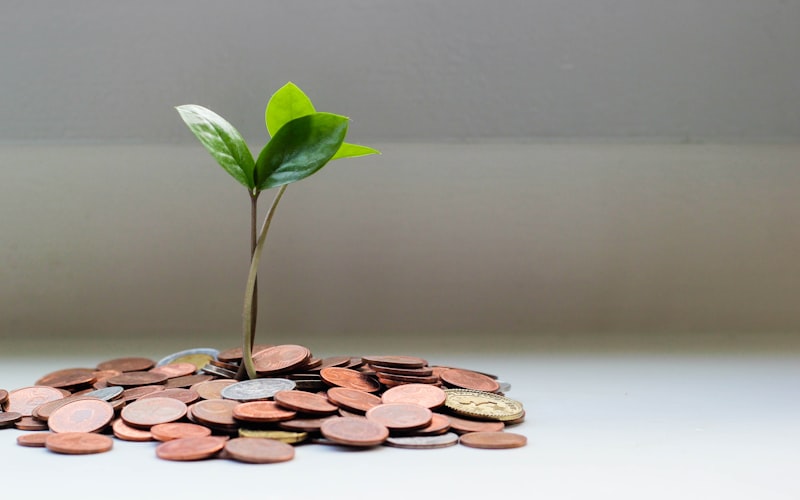 WiFi Revenue Strategies for 2025